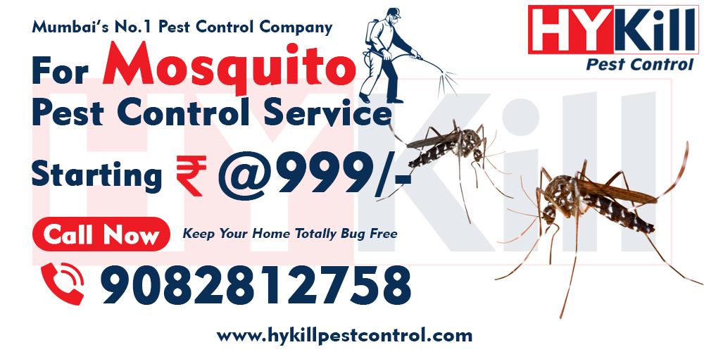 Mosquito Pest Control